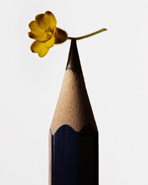 Pour tout faire, il faut une fleur at MBAL