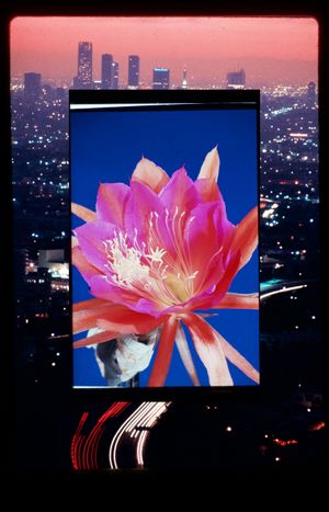 Late Show by Ludovic Sauvage at MEP