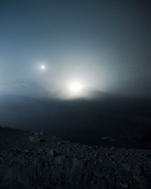 After Nature. Ulrike Crespo Photography Prize 2024 at C/O Berlin