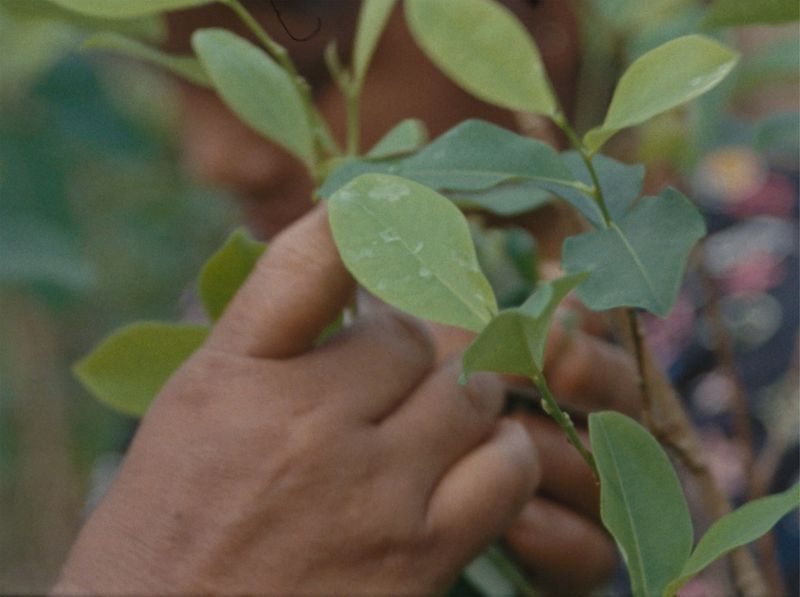 © Laura Huertas Millán