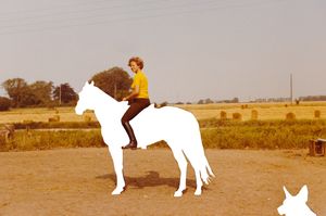 HUN by Julia Mejnertsen at Galleri Image