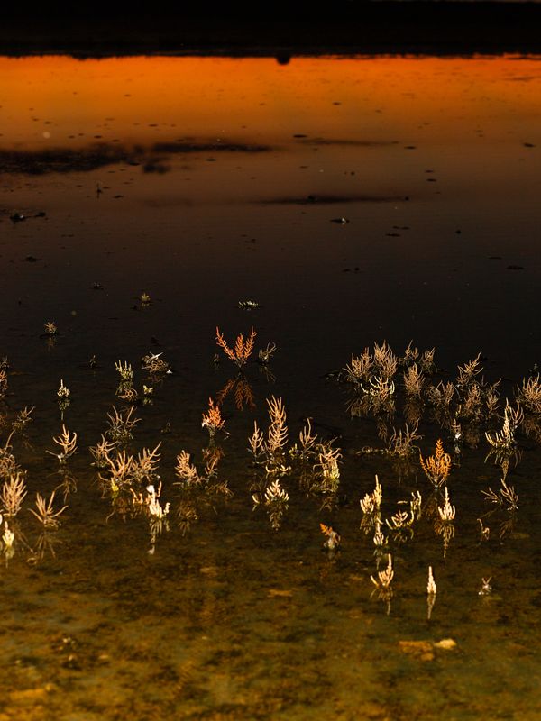 © Valeria Cherchi