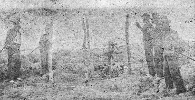 © Luis Carlos Tovar