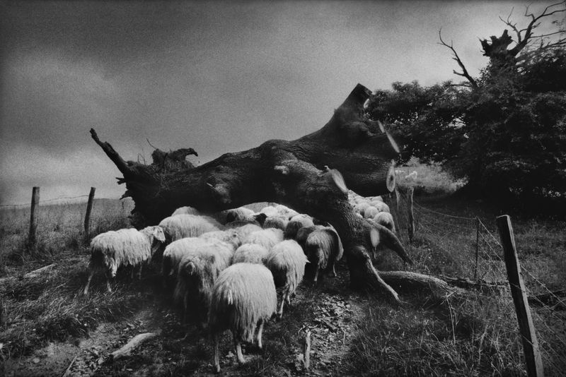 © Gabrielle Duplantier