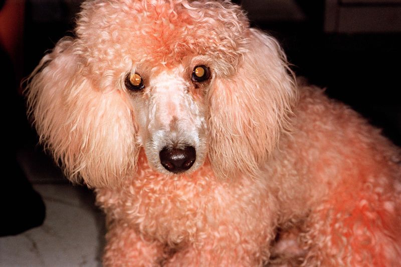 © Martin Parr
