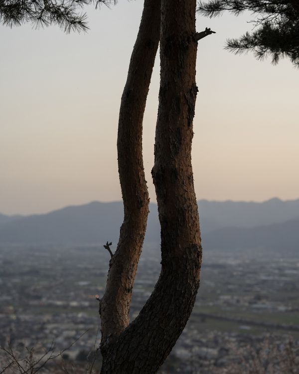 © Aurora Haaland Stenersen