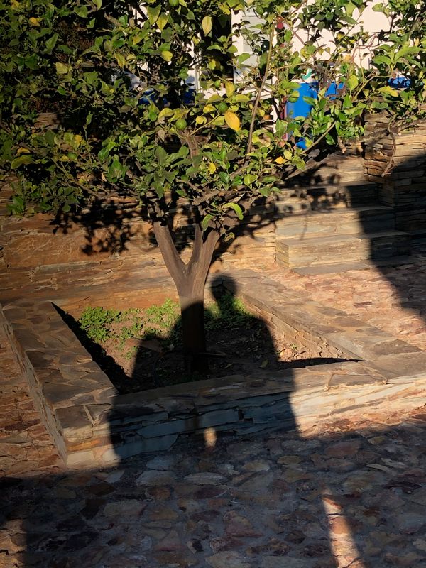 © Karla Hiraldo Voleau