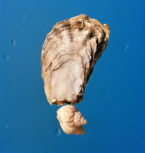 Marius Glauer and Anna Breit at Francisco Carolinum Linz