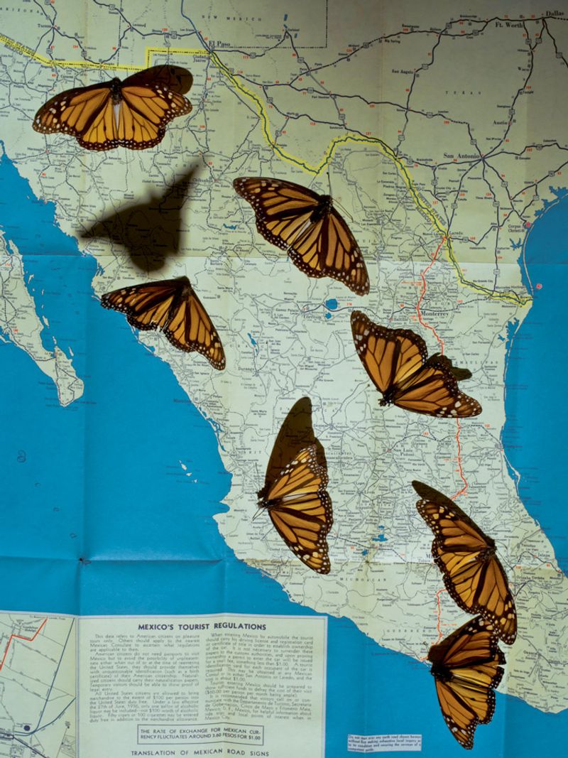 © Cristina De Middel