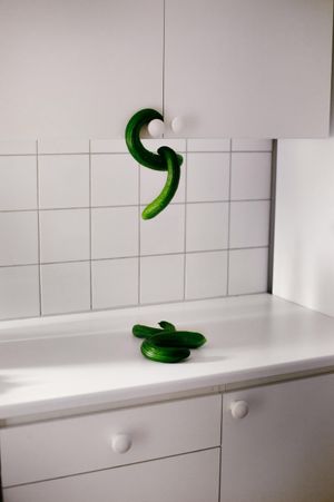 Still Life/Still Friends by Io Sivertsen at Vasli Souza