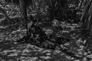 Recess by Keisha Scarville at CPW