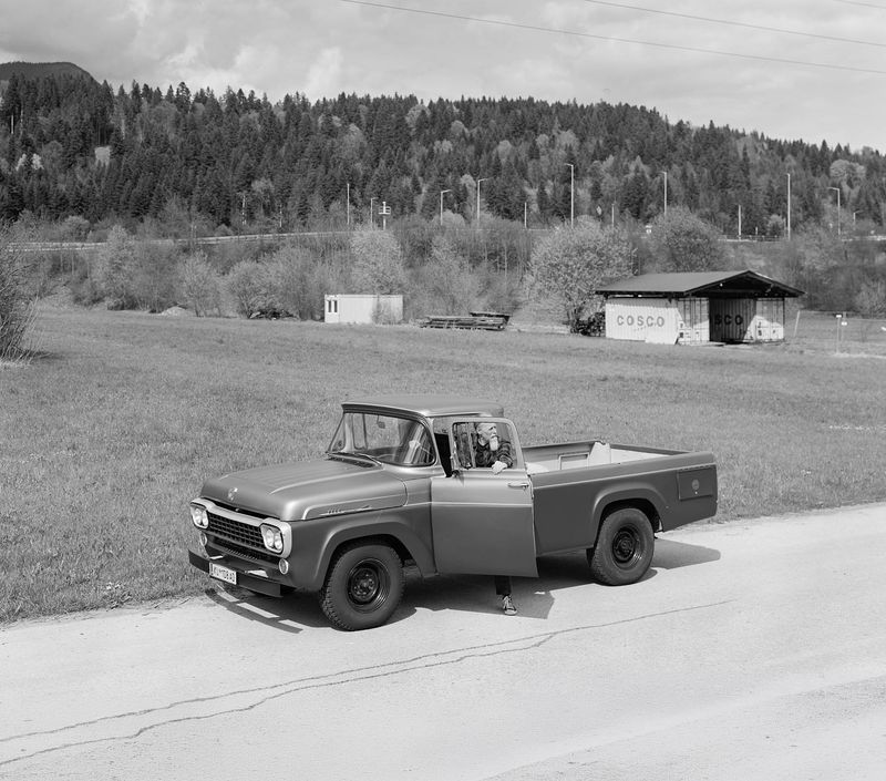© Marge Westreich