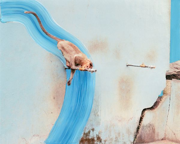 Image from a project on PhMuseum