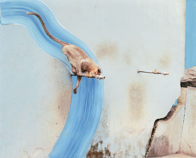 Image from a project on PhMuseum