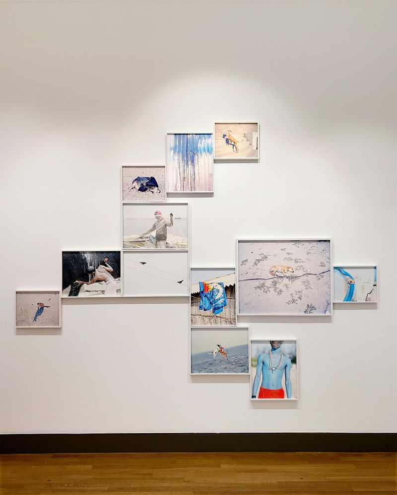 © Vasantha Yogananthan