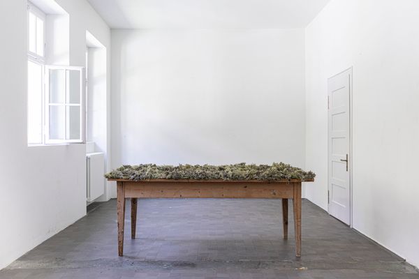 © Hannah Grüninger