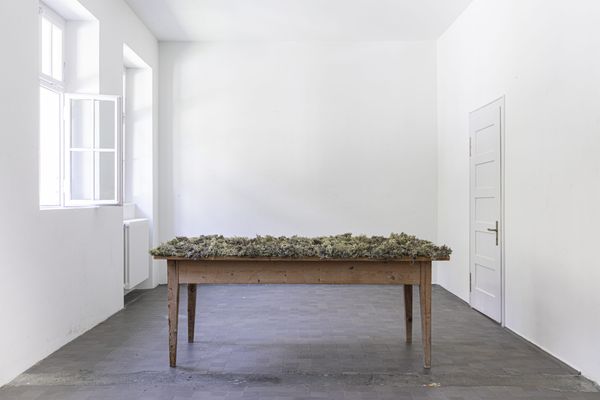 © Hannah Grüninger