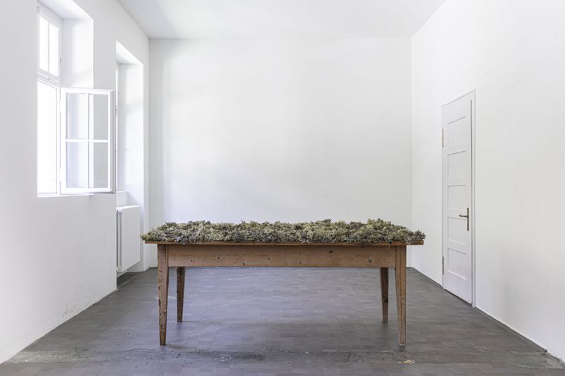 © Hannah Grüninger