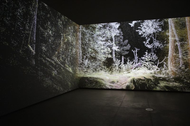 Atmospheric Forest by  Rasa Smite and Raitis Smits © Kristine Madjare