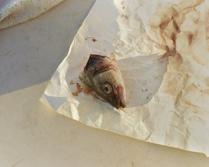 © Felipe Romero Beltrán