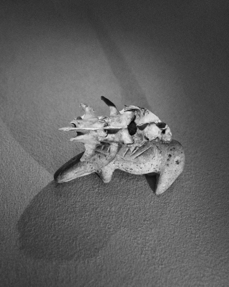 © Giulia Parlato and Giovanna Petrocchi