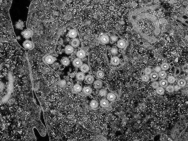 © Alessandro Truffa