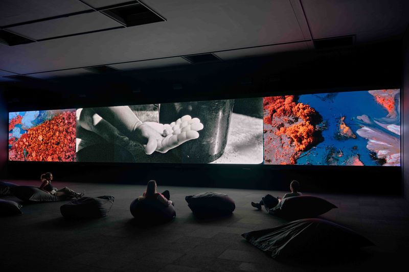 © Richard Mosse