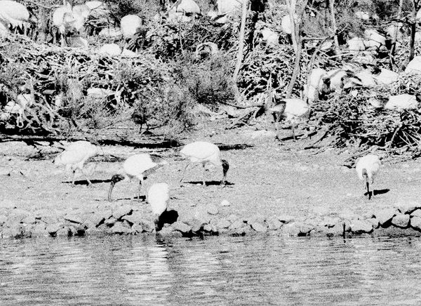 © Katrina Stamatopoulos