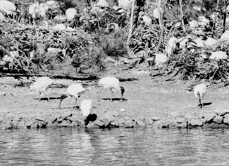 © Katrina Stamatopoulos