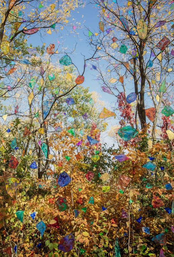 © Sarah Anne Johnson