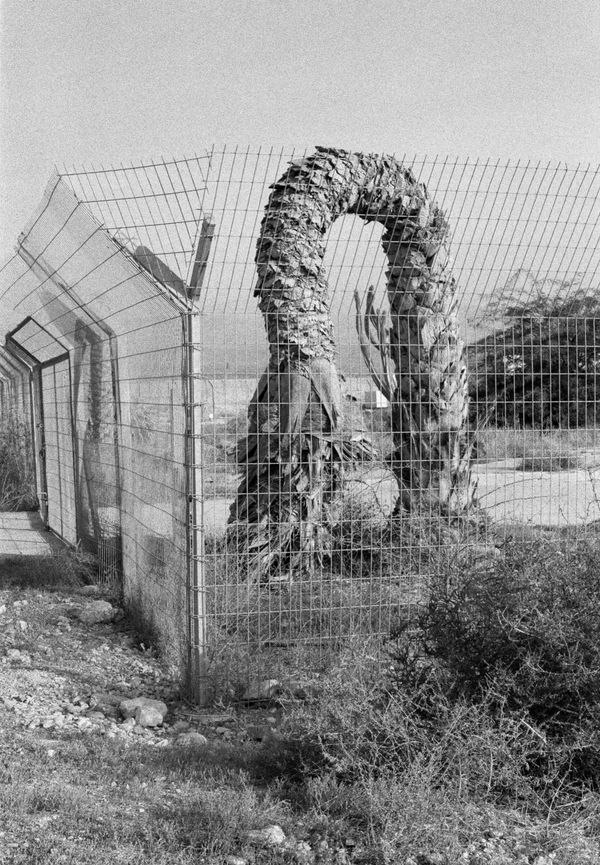 © Sophie Ristelhueber