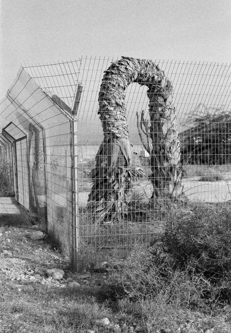 © Sophie Ristelhueber