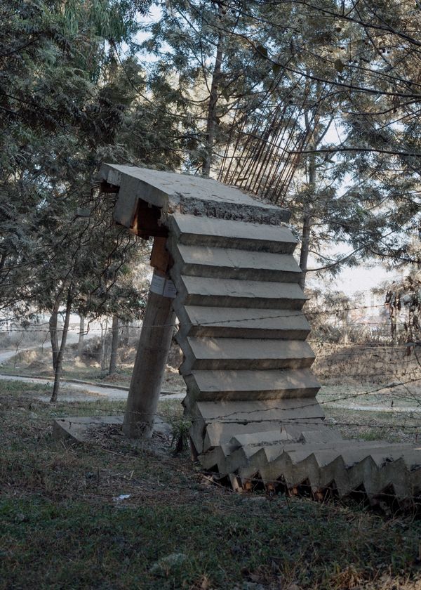 © Catharine Neilson