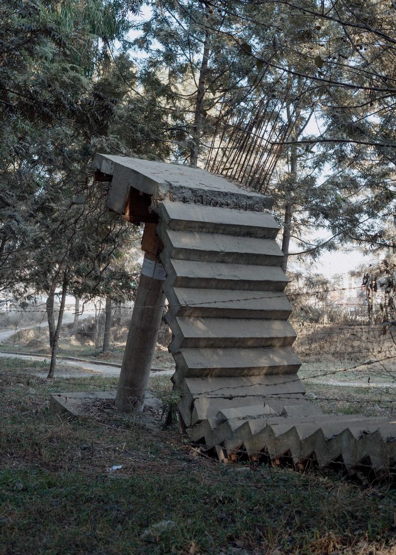 © Catharine Neilson