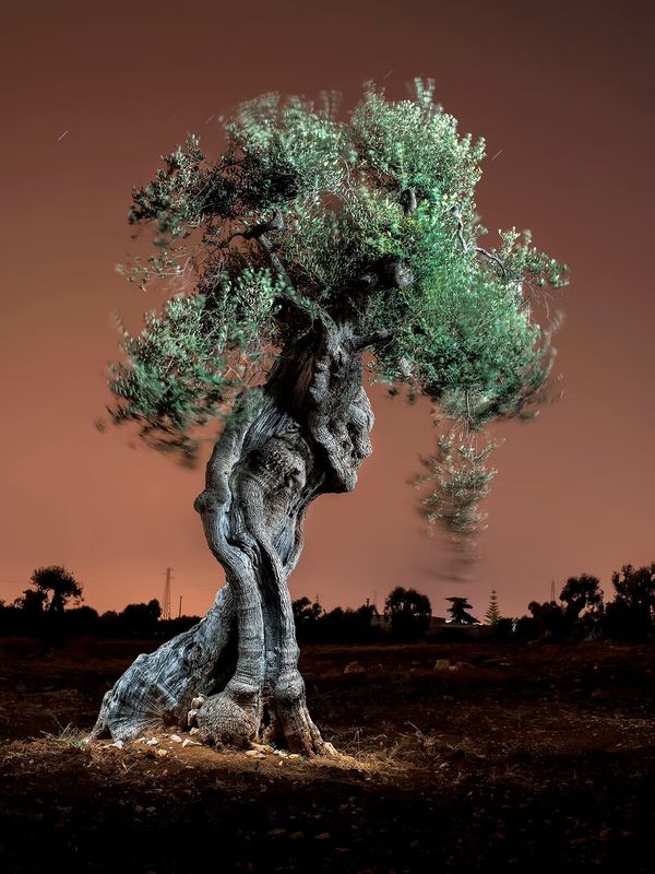 © Alejandro Chaskielberg