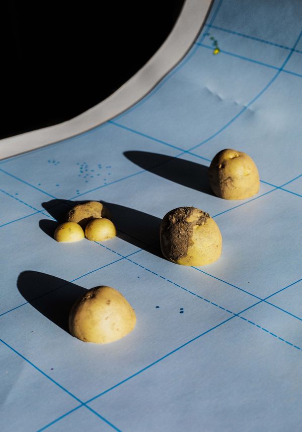 © Ana Núñez Rodríguez