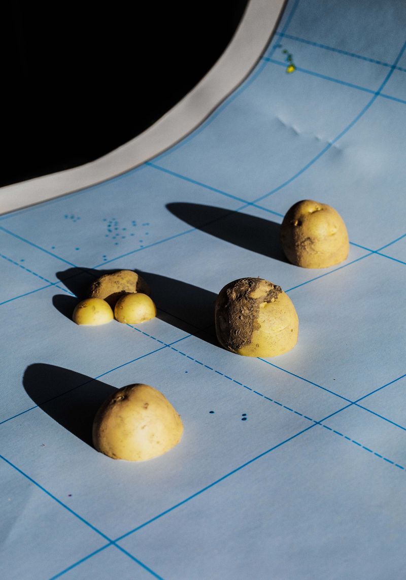 © Ana Núñez Rodríguez