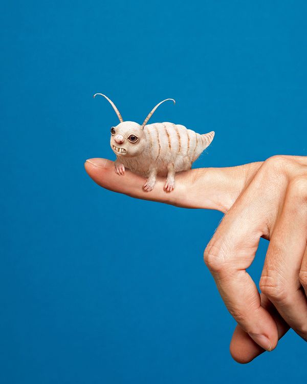 © Weronika Gęsicka