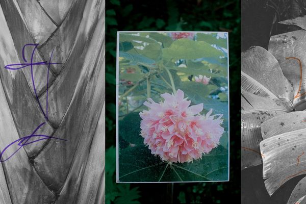 © Atsushi Momoi