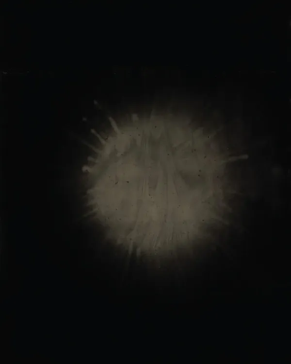 © María José Guerrero