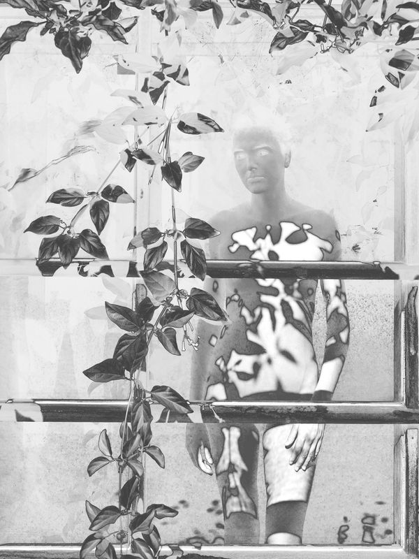 © Mona Kuhn, Galerie XII