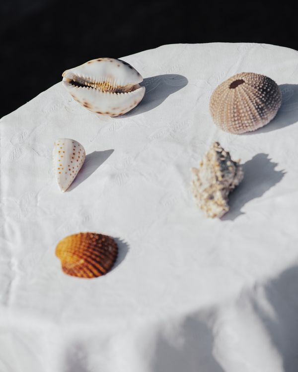 © Piergiorgio Sorgetti