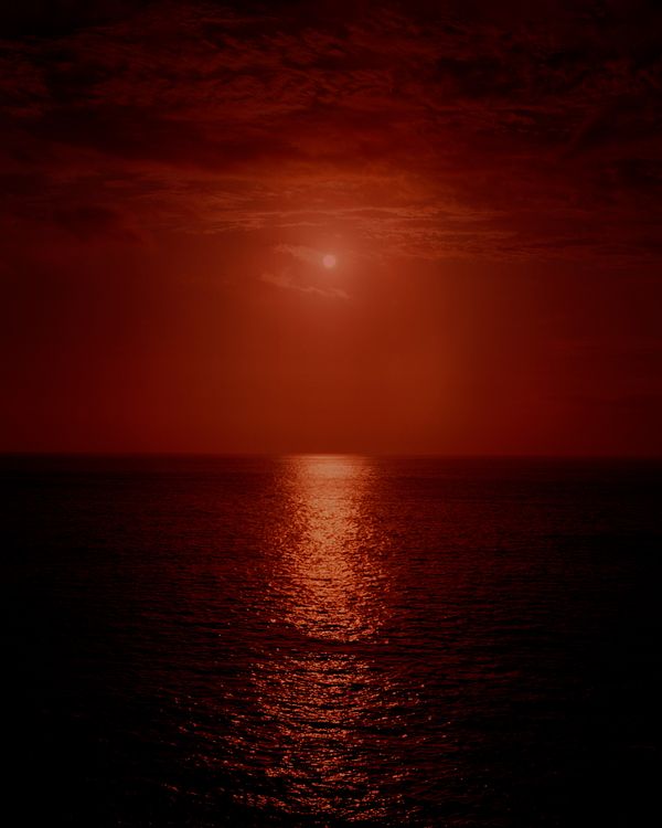 © Caroline Tompkins