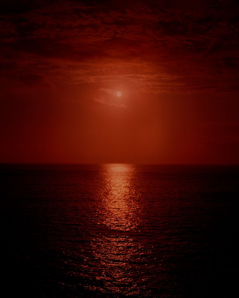 © Caroline Tompkins