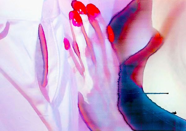 © Alessandro Calabrese