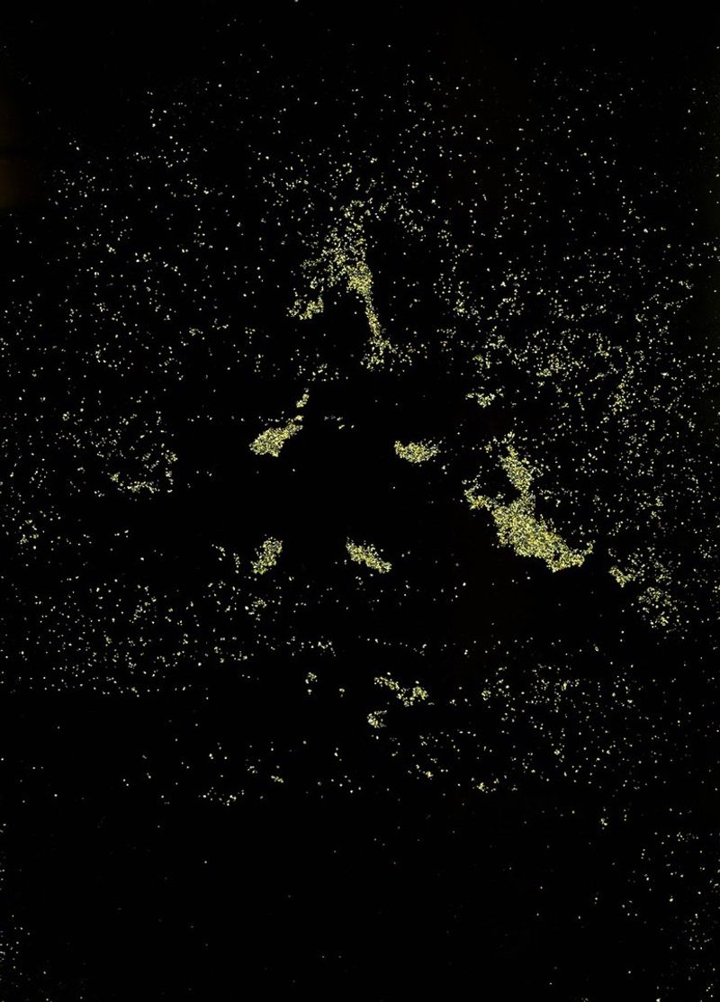 © Nicola Noemi Coppola