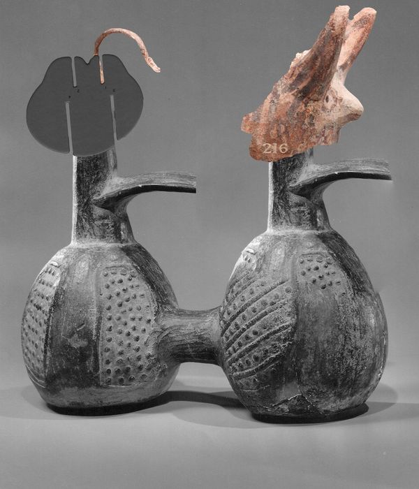 © Giovanna Petrocchi