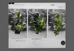 Recreo Art Book Fair 2024