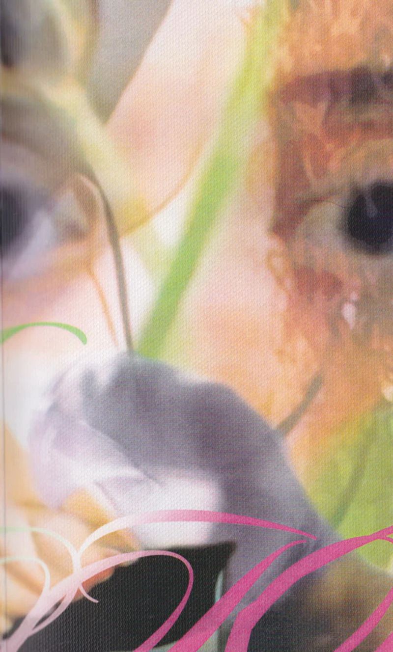 © Pénélope Delaur, Éditions Pépé