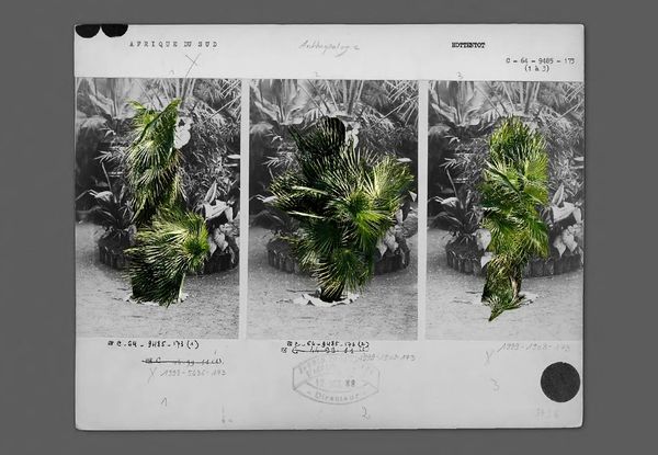 © Inés Molina Navea